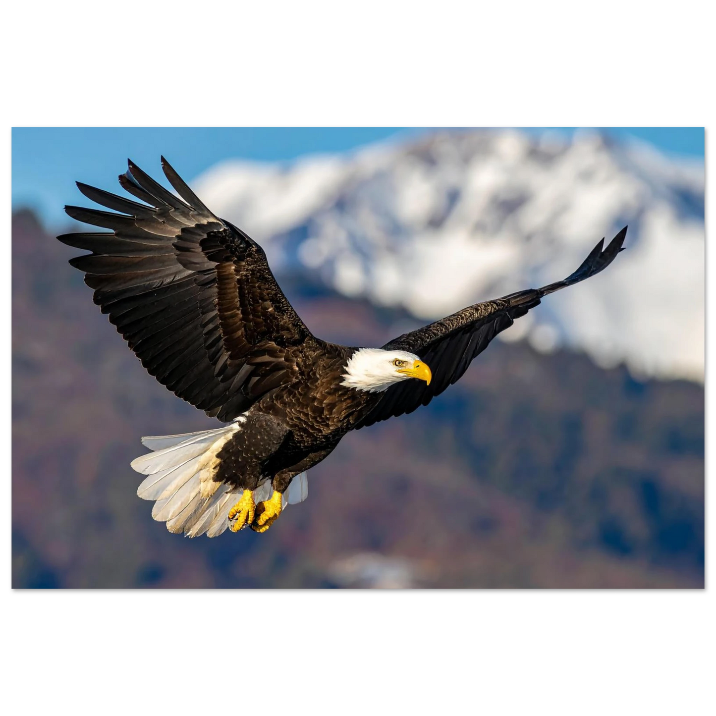 ce1e7e41-ecf1-48f3-bdb0-37a8f9694f3f