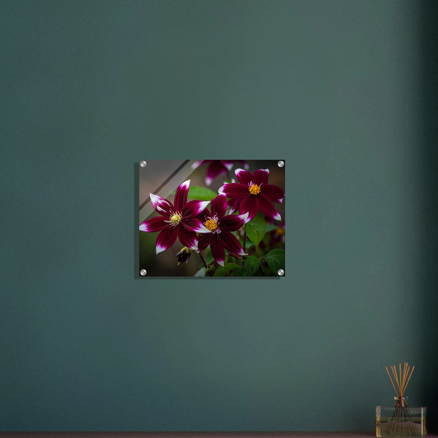 ce569d4a-b48d-418f-841f-c8e2633d1b4a