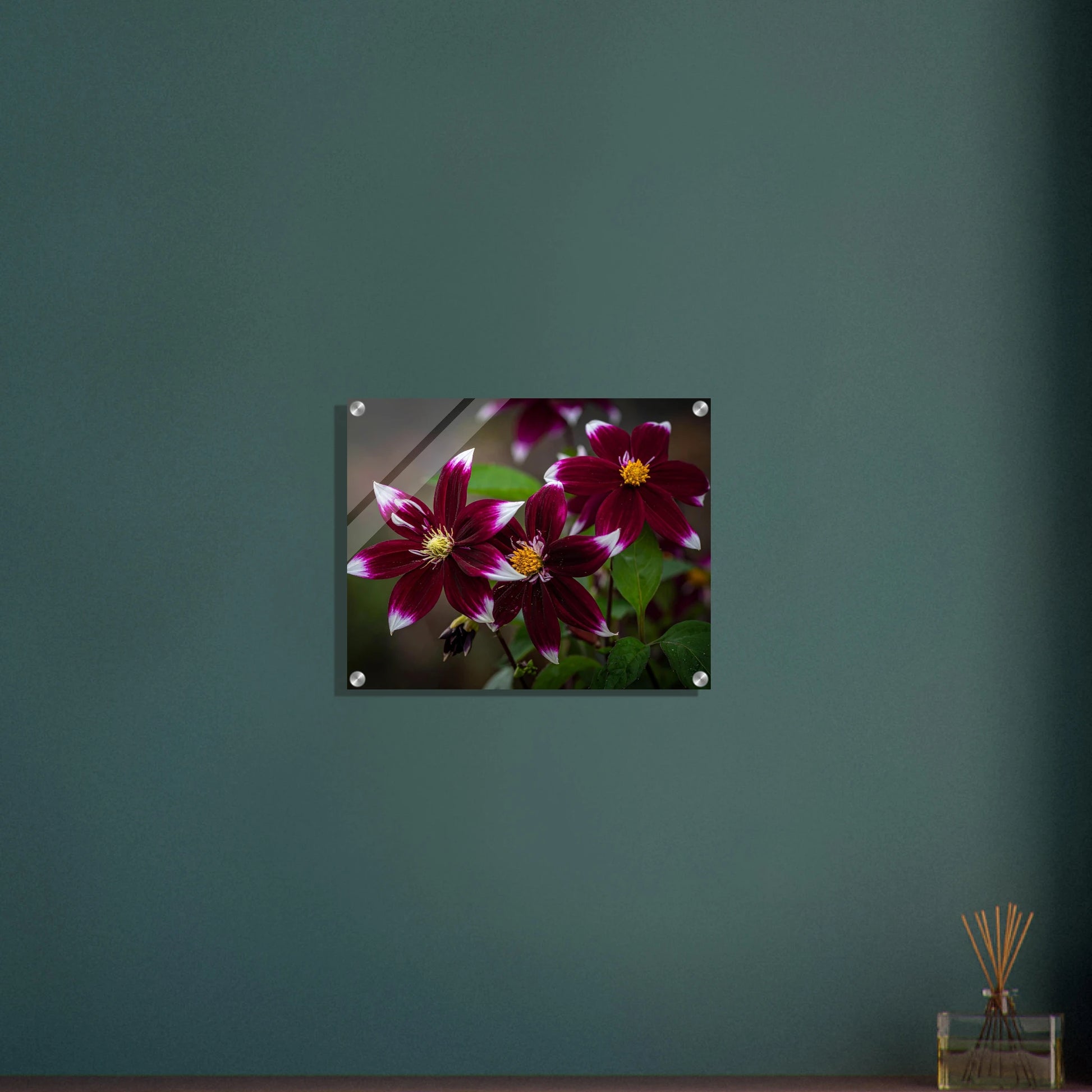 ce569d4a-b48d-418f-841f-c8e2633d1b4a