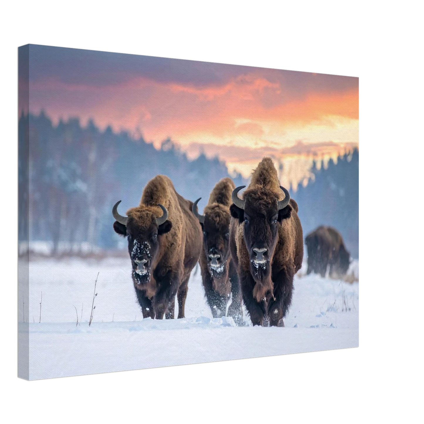 ce7b252d-d393-48a6-b25b-c02d4fd354cb