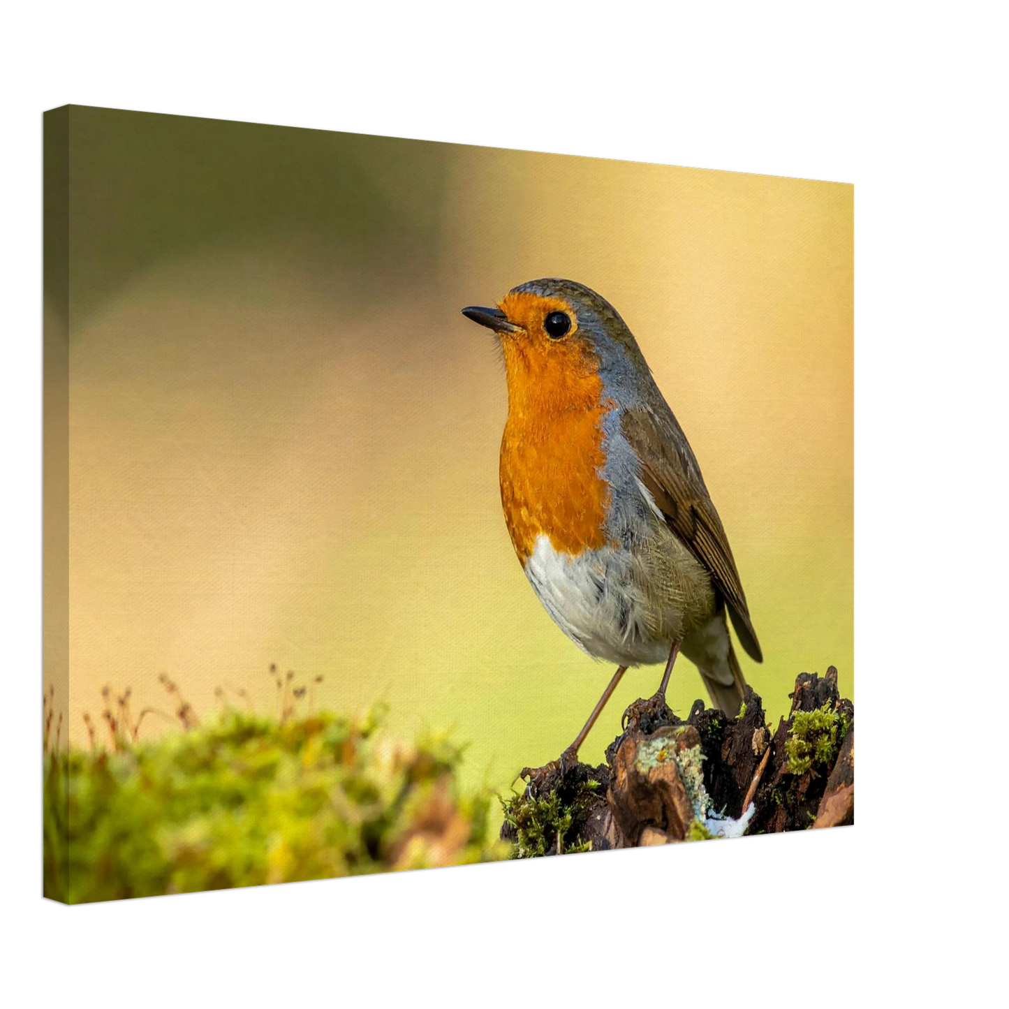 cecccc3b-6931-4550-a99a-3f80d1a4be44