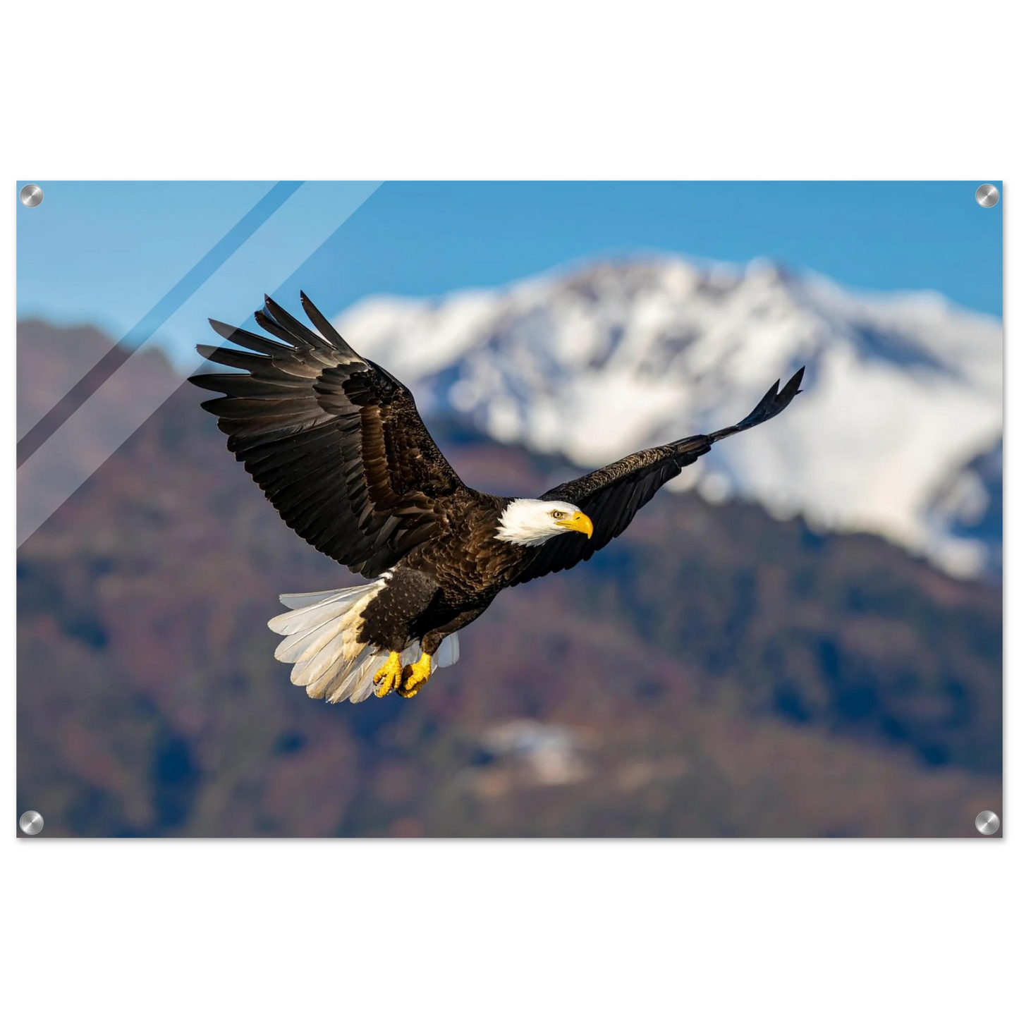 d12a3b45-6890-439c-9e3e-84ef3e15711b