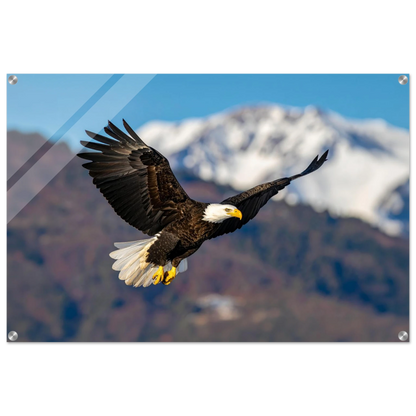 d12a3b45-6890-439c-9e3e-84ef3e15711b