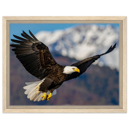 Majestic Soaring Bald Eagle Mountain Wall Art framed canvas in natural wood frame