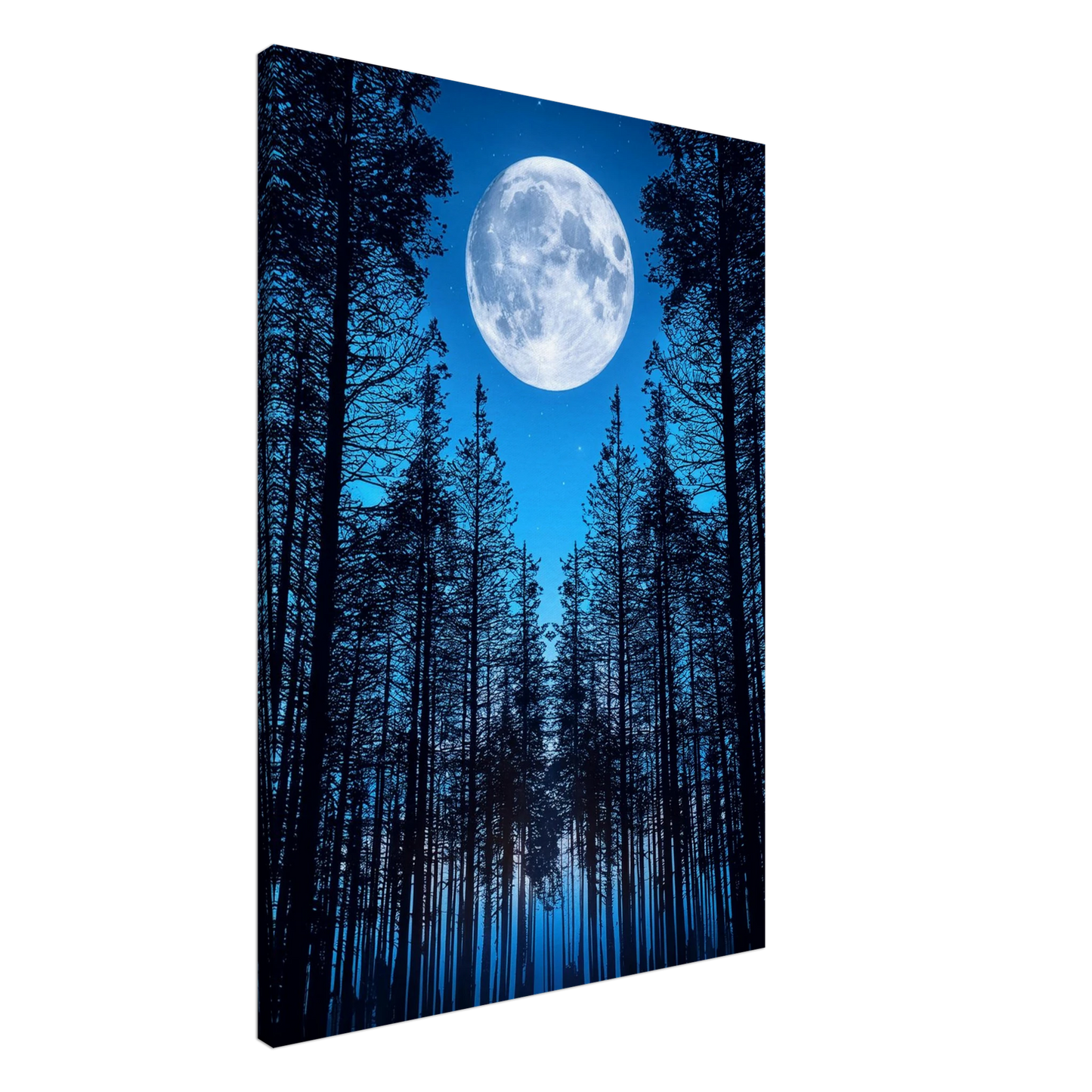 d267a30e-6351-465e-ab12-aea0eb7e4c44