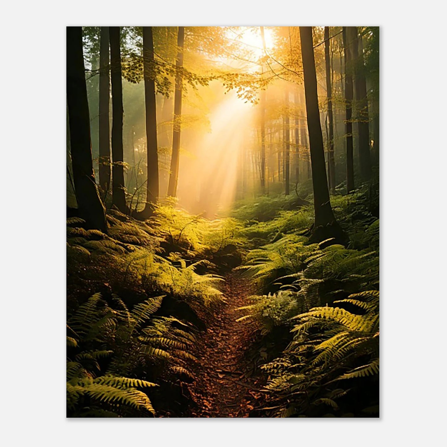 A DREAMY, SOFT-FOCUS SURREALIST  MISTY FOREST LANDSCAPE PRINT WITH GLOWING LIGHT AND BOTANICAL ELEMENTS