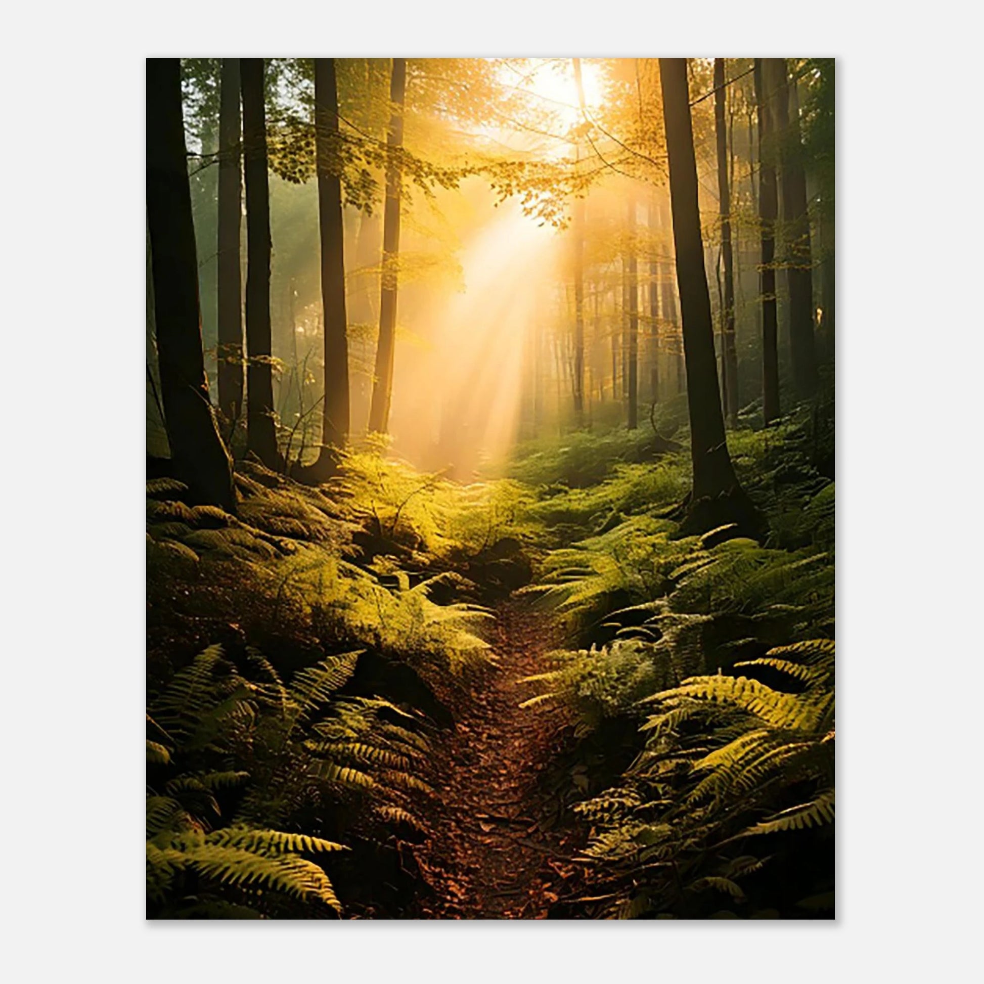 A DREAMY, SOFT-FOCUS SURREALIST  MISTY FOREST LANDSCAPE PRINT WITH GLOWING LIGHT AND BOTANICAL ELEMENTS