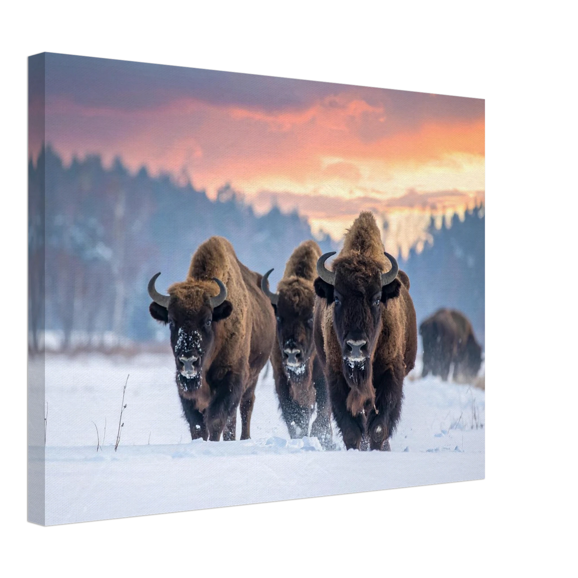 d44a2fca-b7d3-46f1-978d-1233c28f6a24