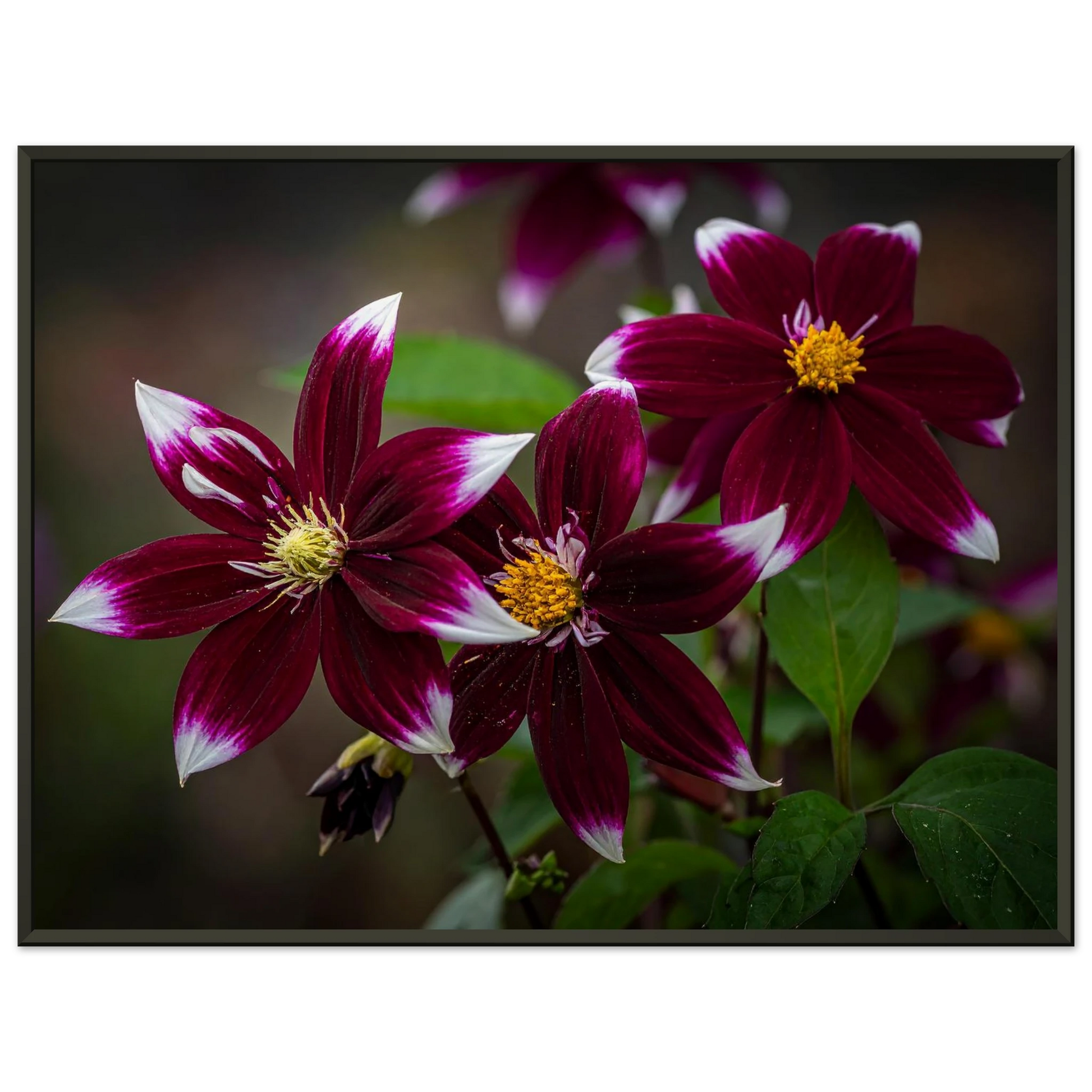 d50663a7-debd-4787-bb43-762a52fed53e