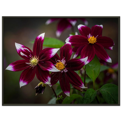 d50663a7-debd-4787-bb43-762a52fed53e
