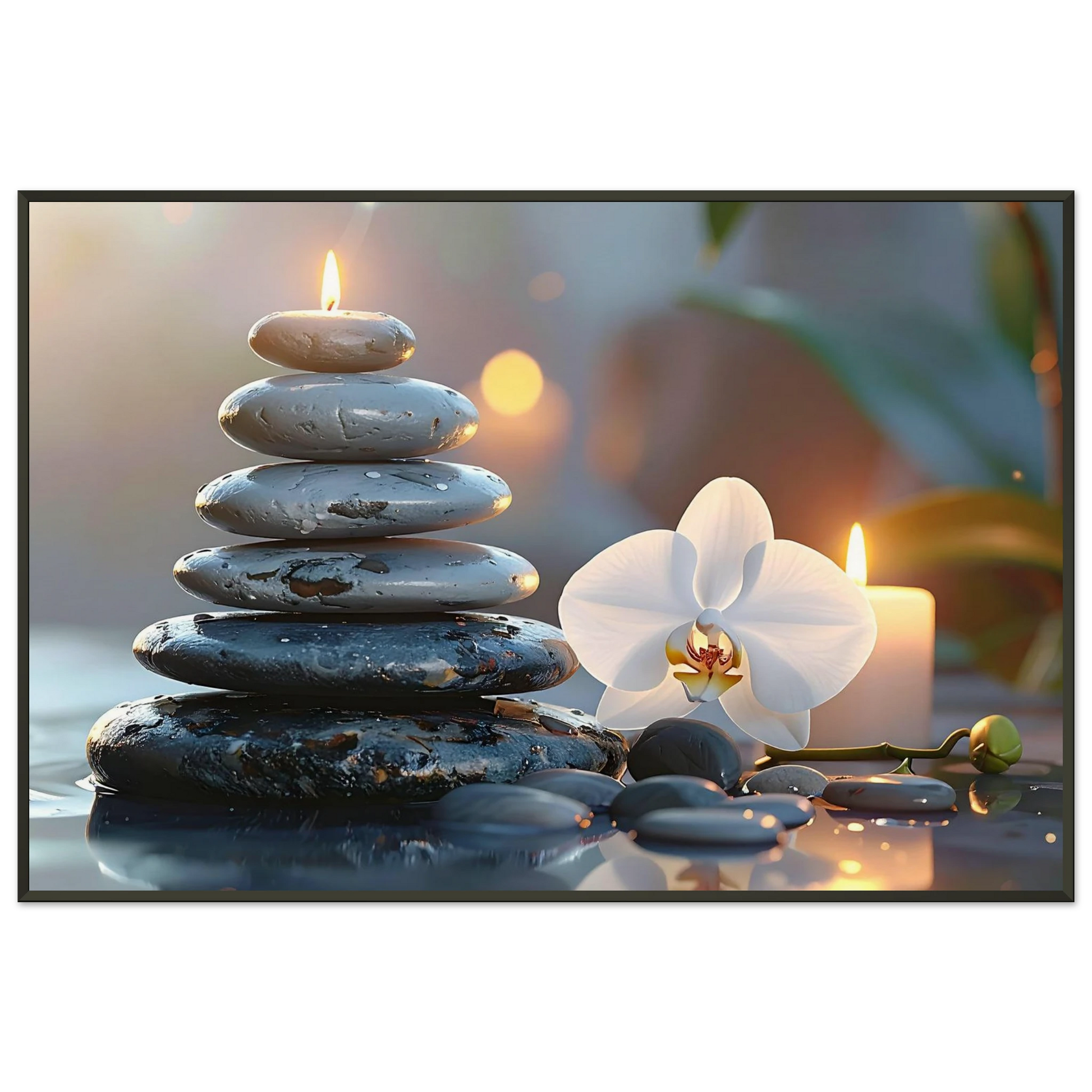 d582cab3-8eea-469c-8a14-98fcb08a46ed