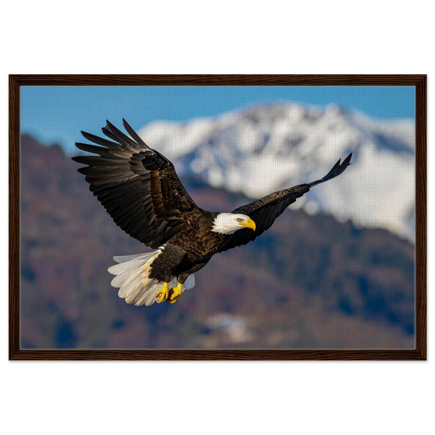 d6500b12-c395-44c6-ab4b-0d5c258f0fe7