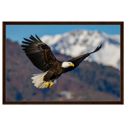 d6500b12-c395-44c6-ab4b-0d5c258f0fe7