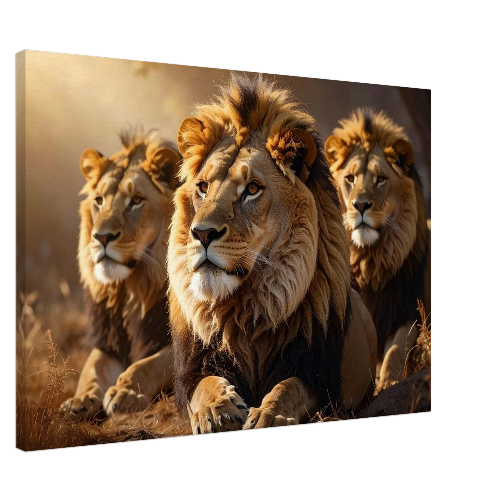 d927d89a-b176-4444-ba2f-22d0e0341992