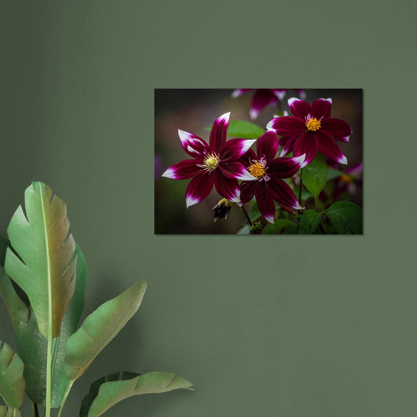 dafe0ad7-28d7-49ec-a93b-d9dacdea09ef