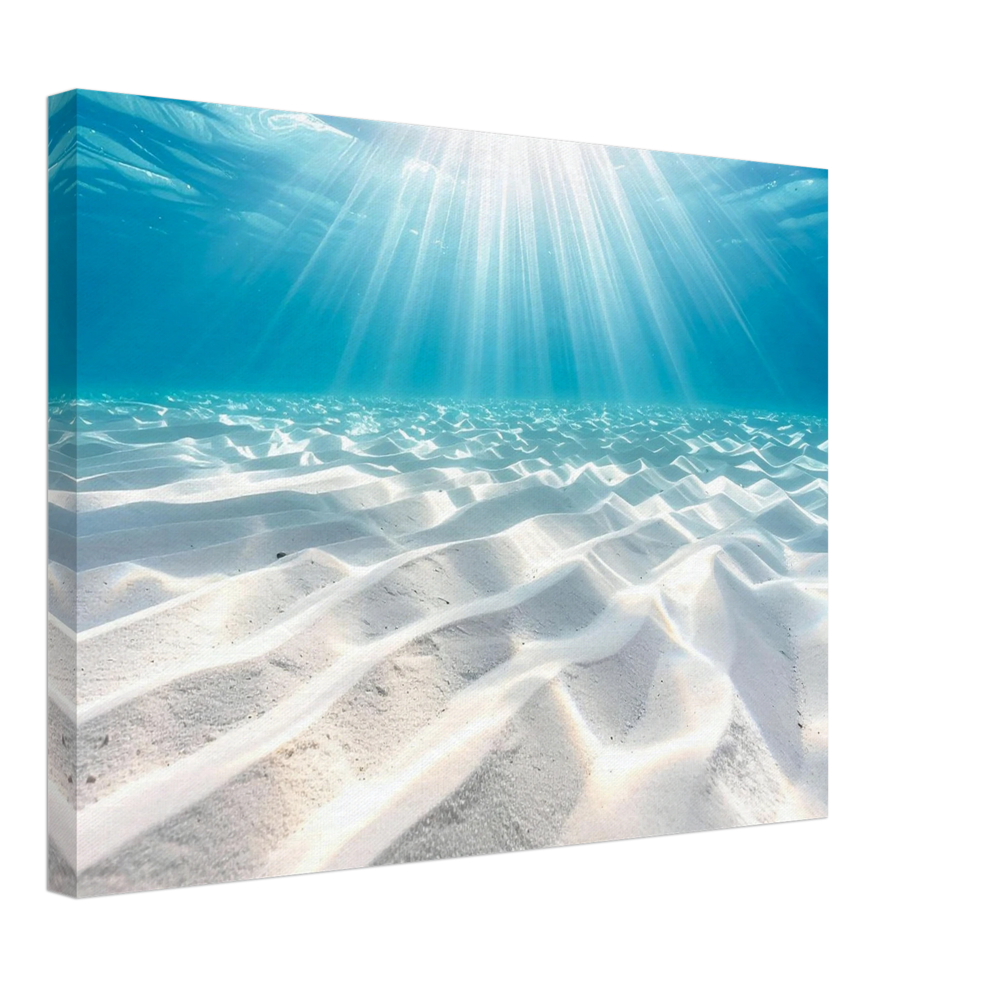 de69c3b3-096e-4ee4-b369-0f362cbb6a79