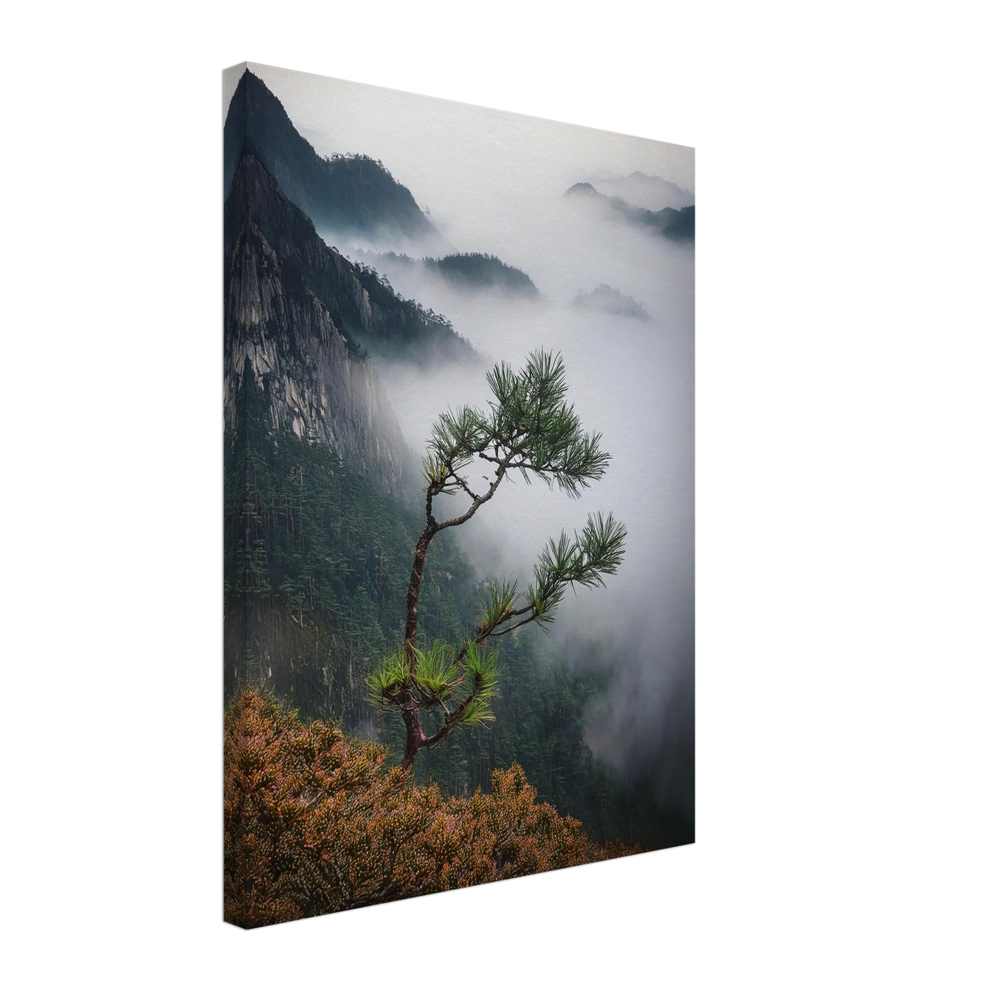 dedfa009-82f1-4bdc-a946-839a76000287