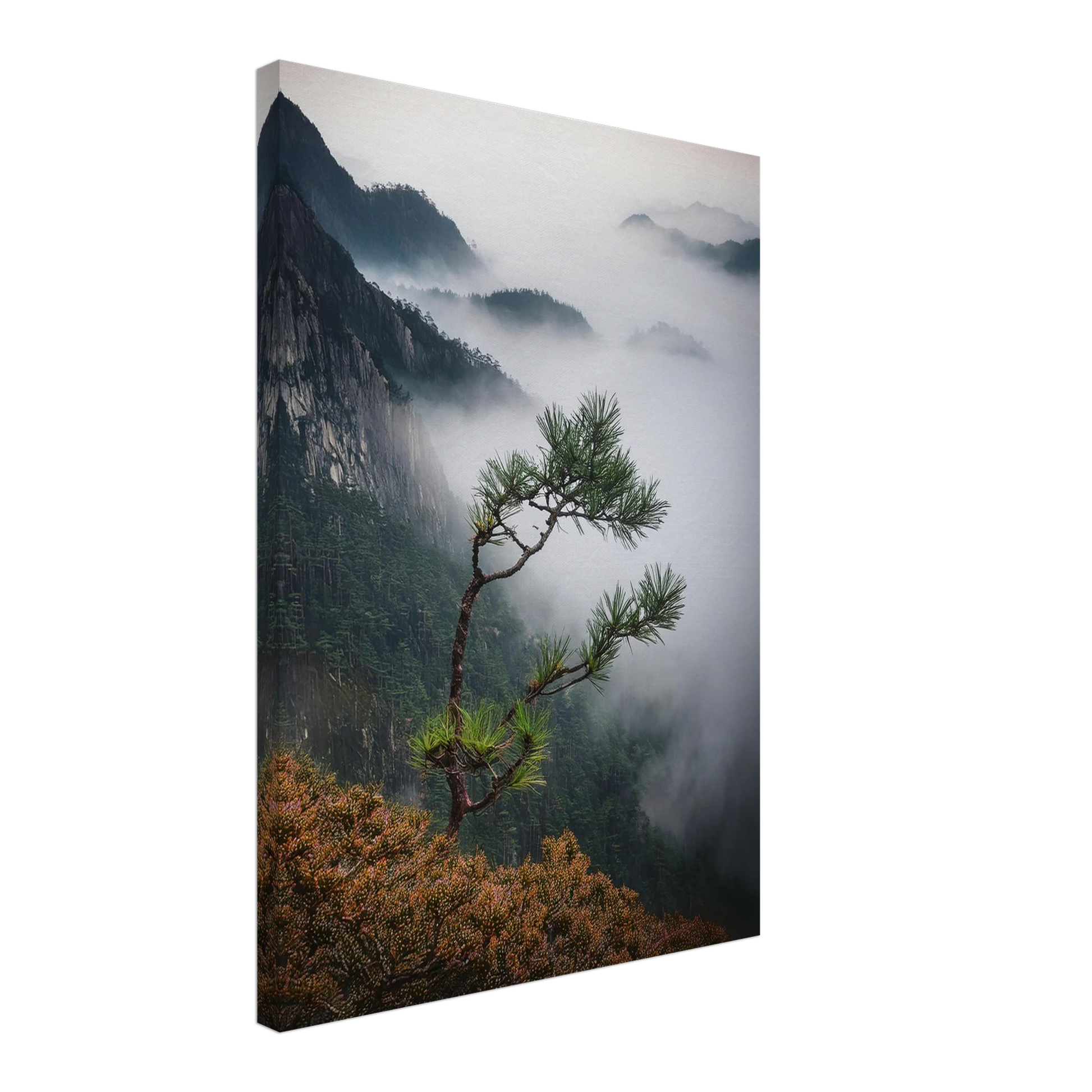 df4d2153-9212-4ae8-b2fe-c987b9705208