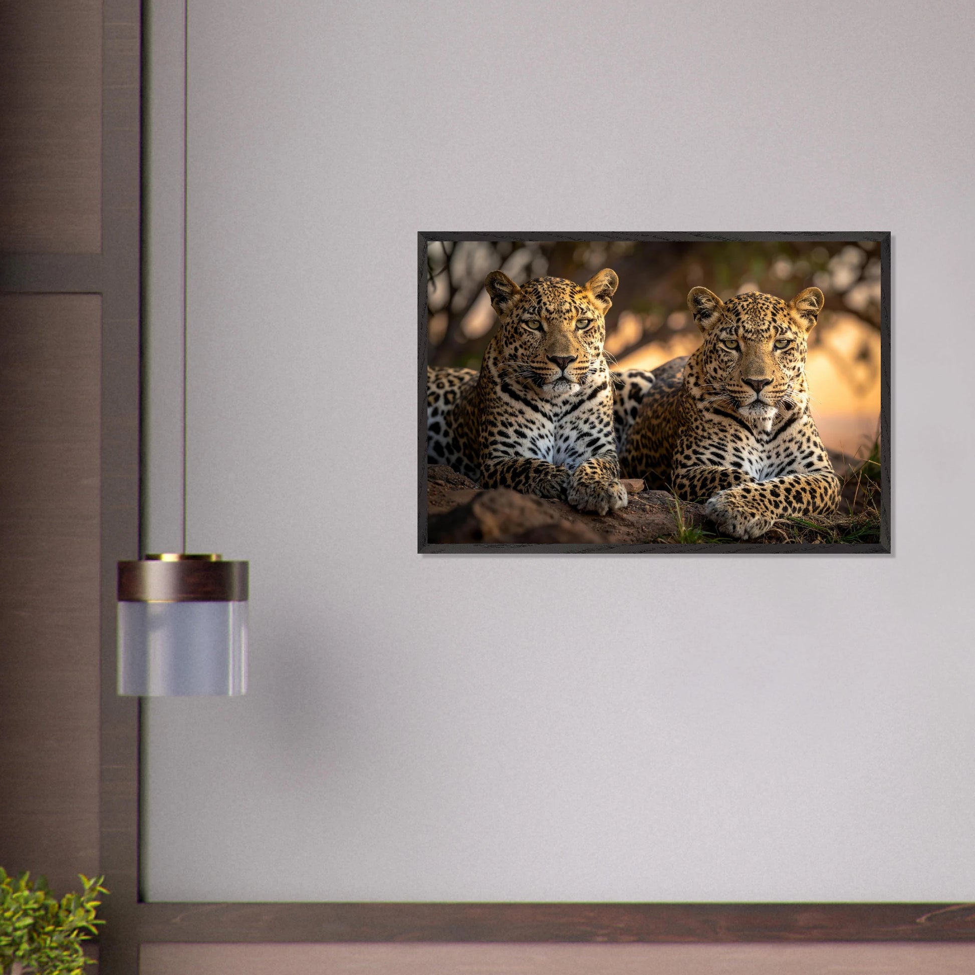 e231b59f-7547-4ae4-a547-814bc16bc538