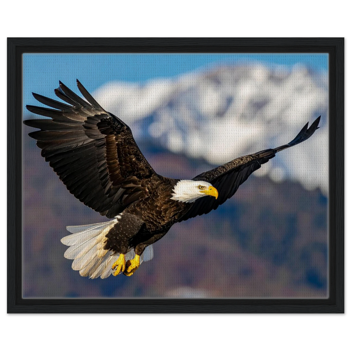 Majestic Soaring Bald Eagle Mountain Wall Art framed canvas in black frame