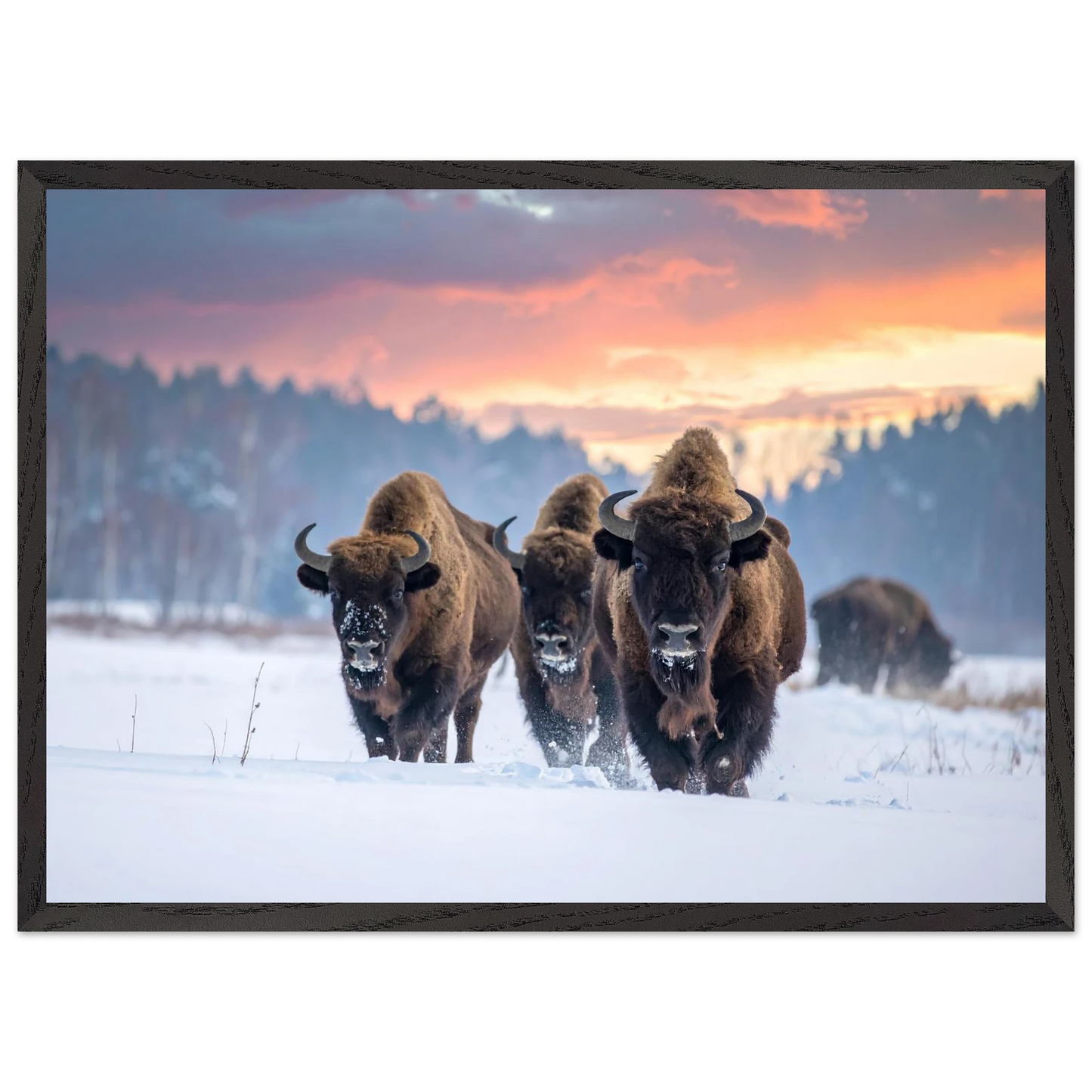 e53a9cdb-98e0-430b-8020-59a7144552be