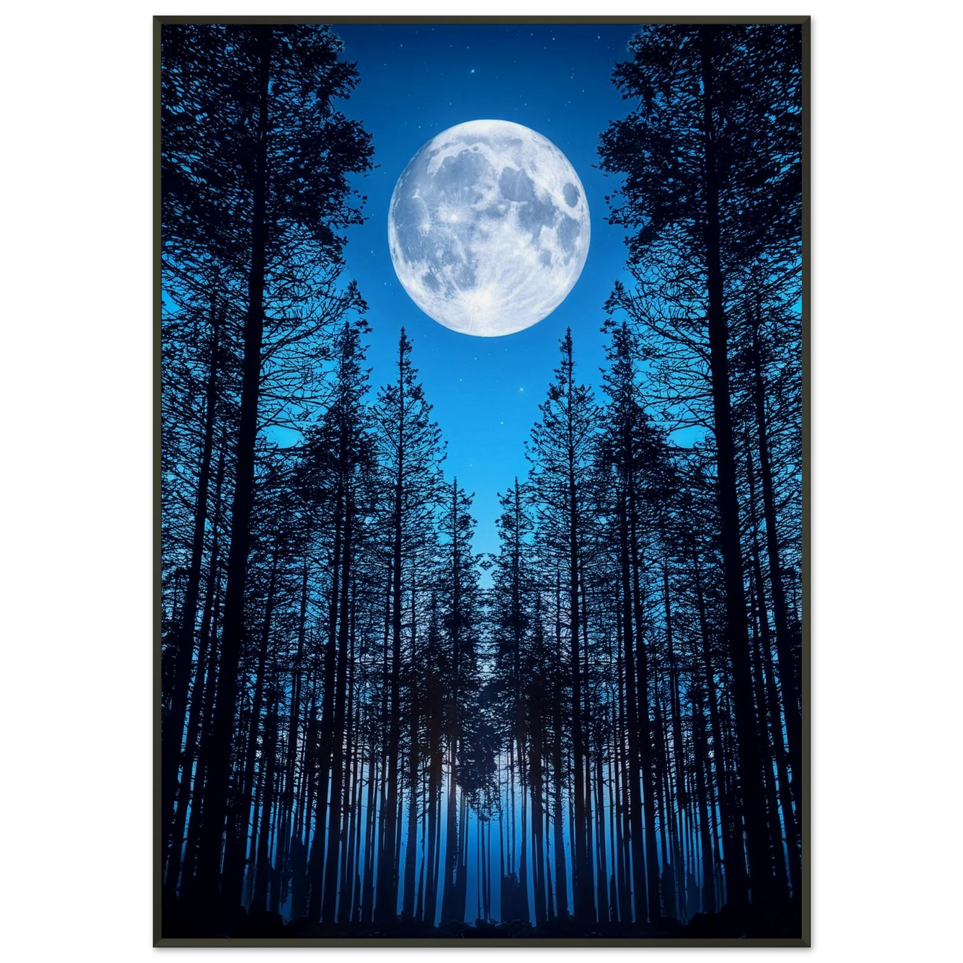 ea3369f1-de43-4f0f-bc00-4749ce057f0b