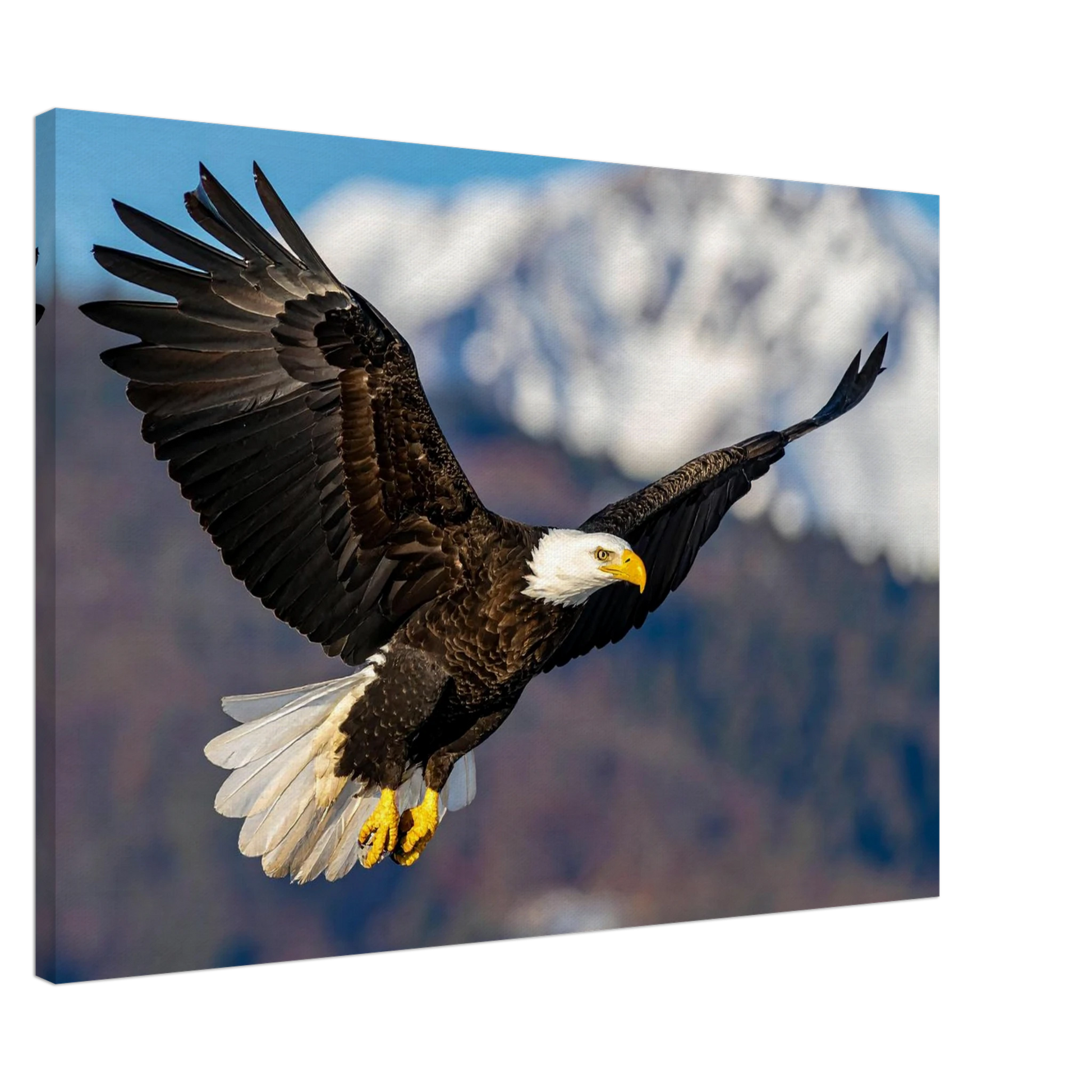 ed6d793f-89d9-4715-b9fc-bf99164e36f7