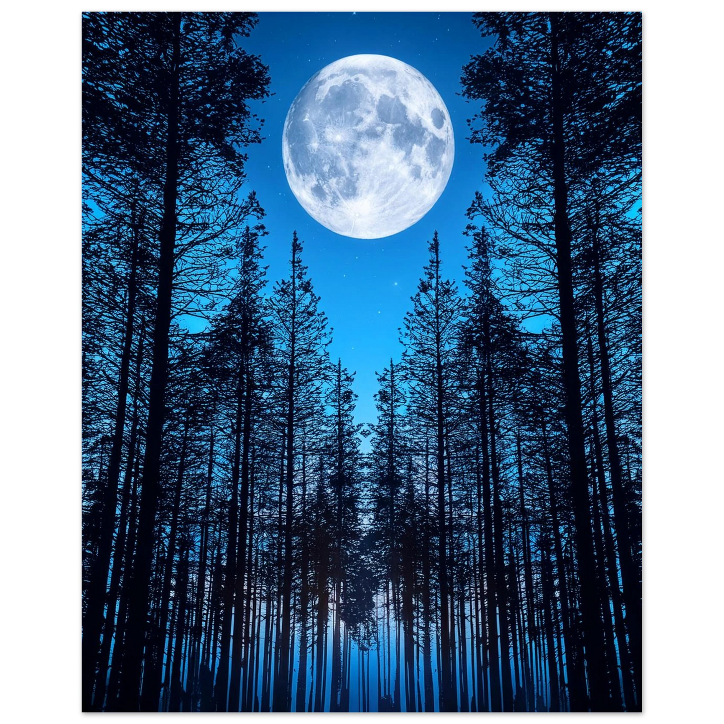 ee076ca4-045c-44e3-8e07-0a9c9a1ba048