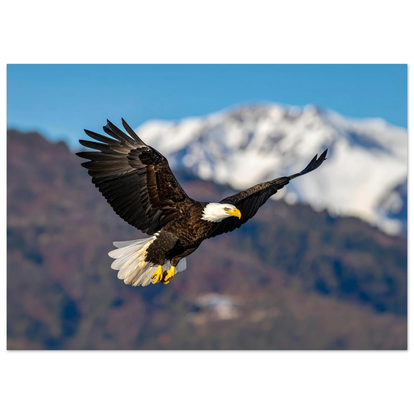 eedda528-de7c-4c70-b6b7-ac0f0fdc23db
