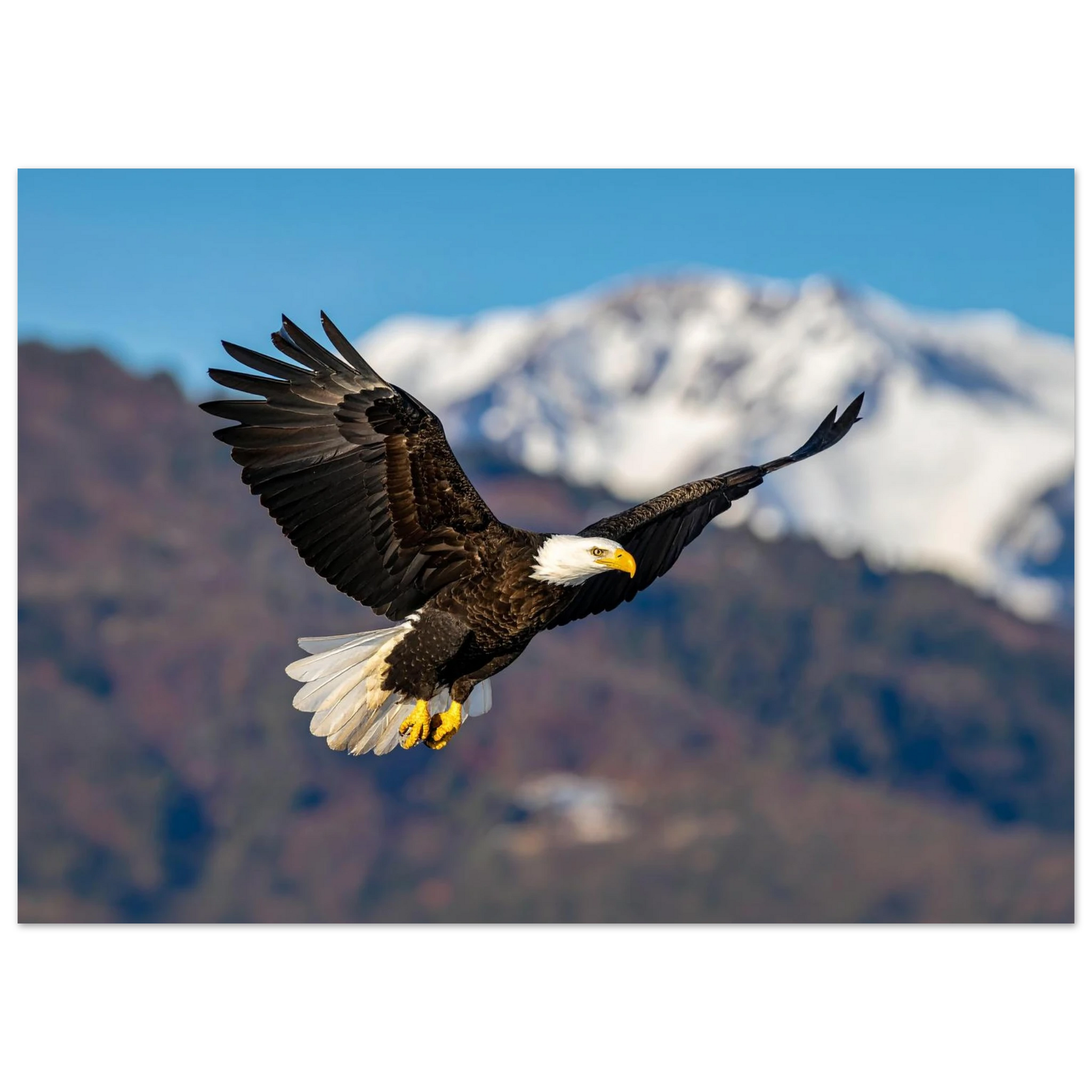 eedda528-de7c-4c70-b6b7-ac0f0fdc23db