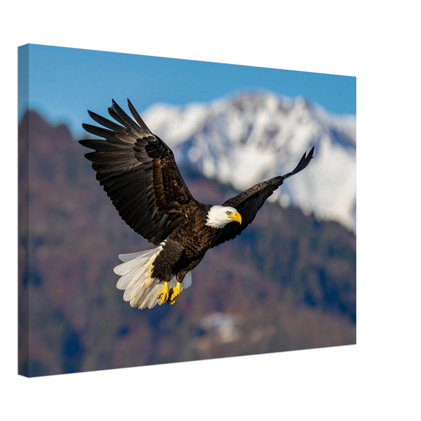 f6df7033-33a6-4f76-ba46-73dab7f1462d