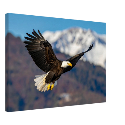 f6df7033-33a6-4f76-ba46-73dab7f1462d