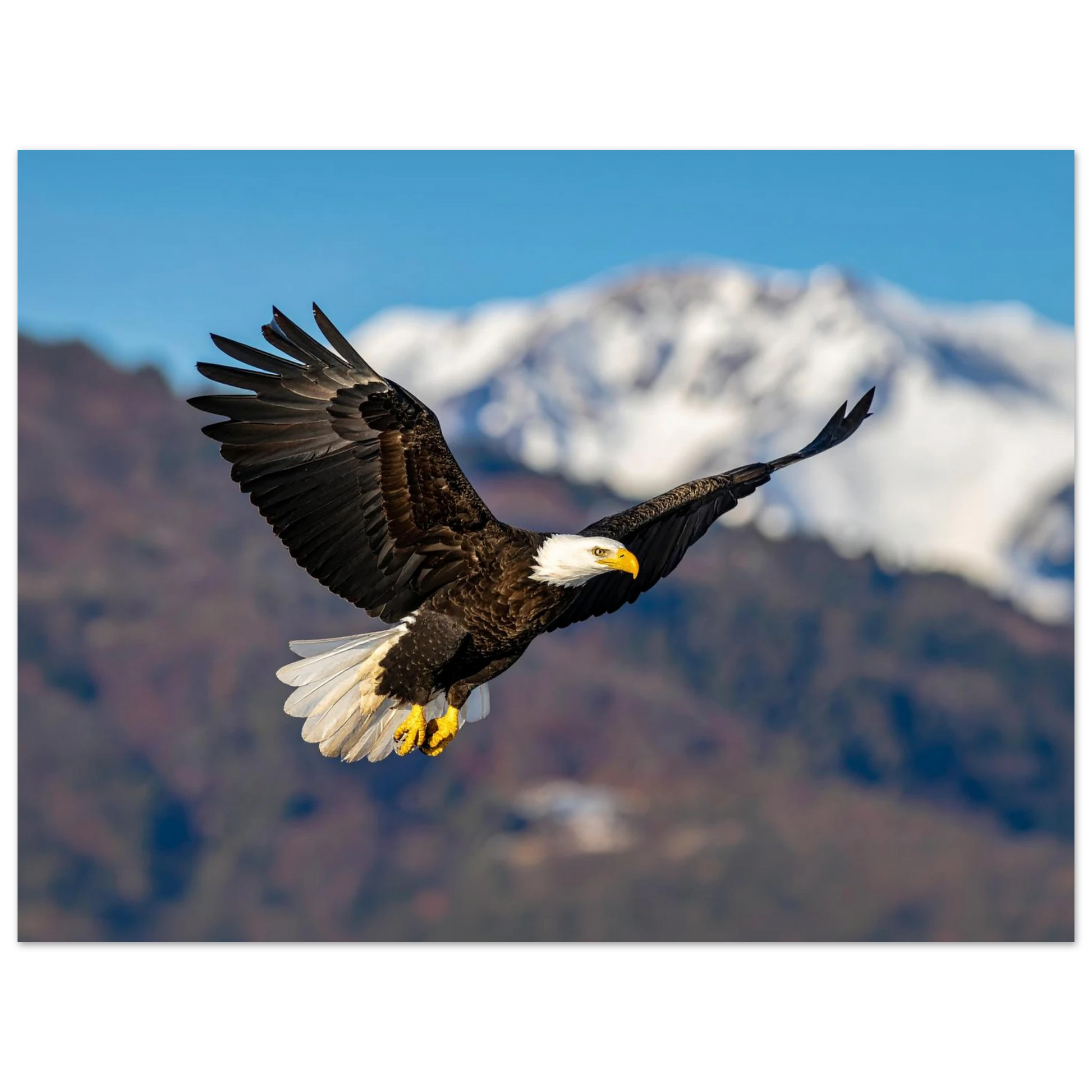 f829ebc8-9370-44f7-b210-032ecefe2856