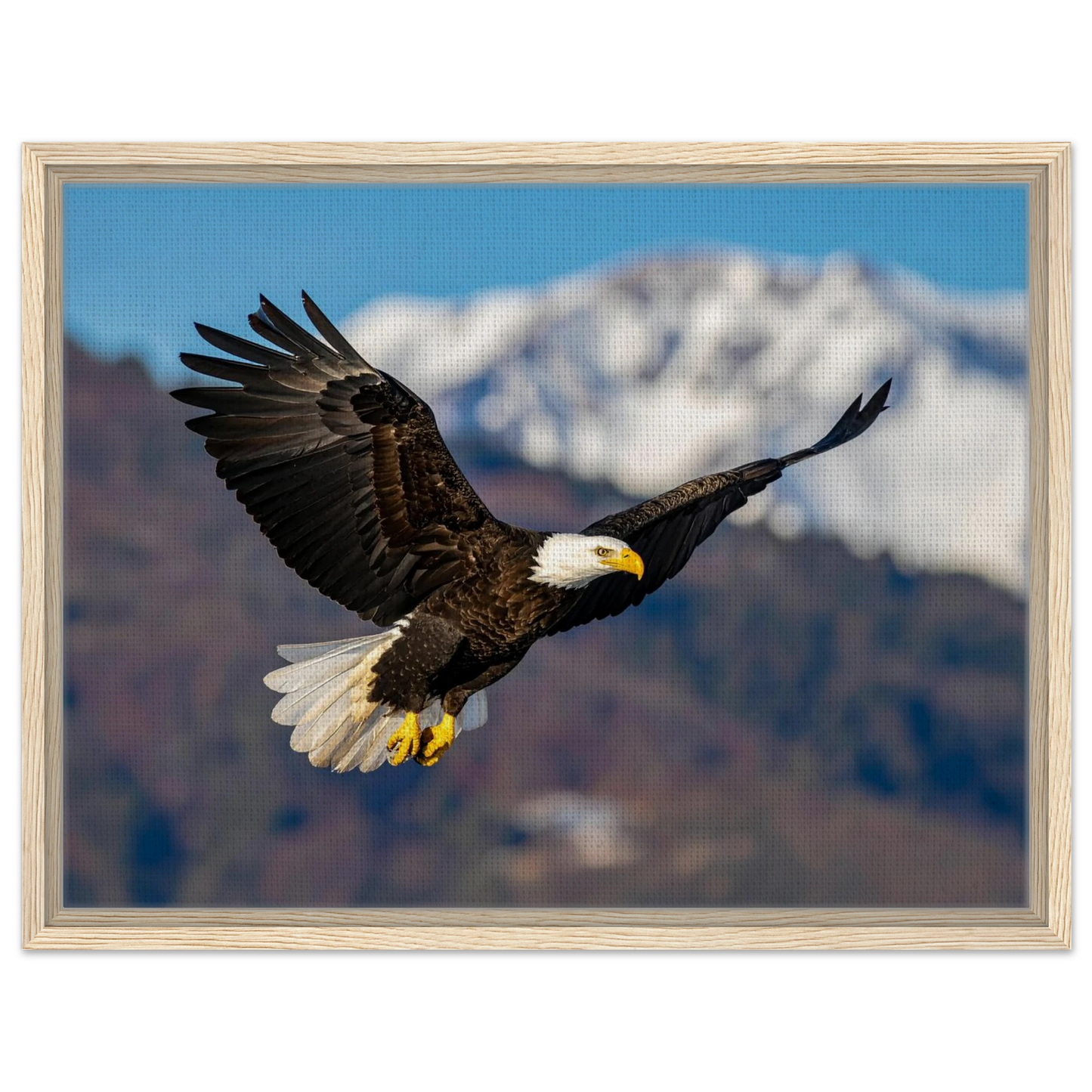 f9635440-ee5c-462b-9429-5aaaadf99813