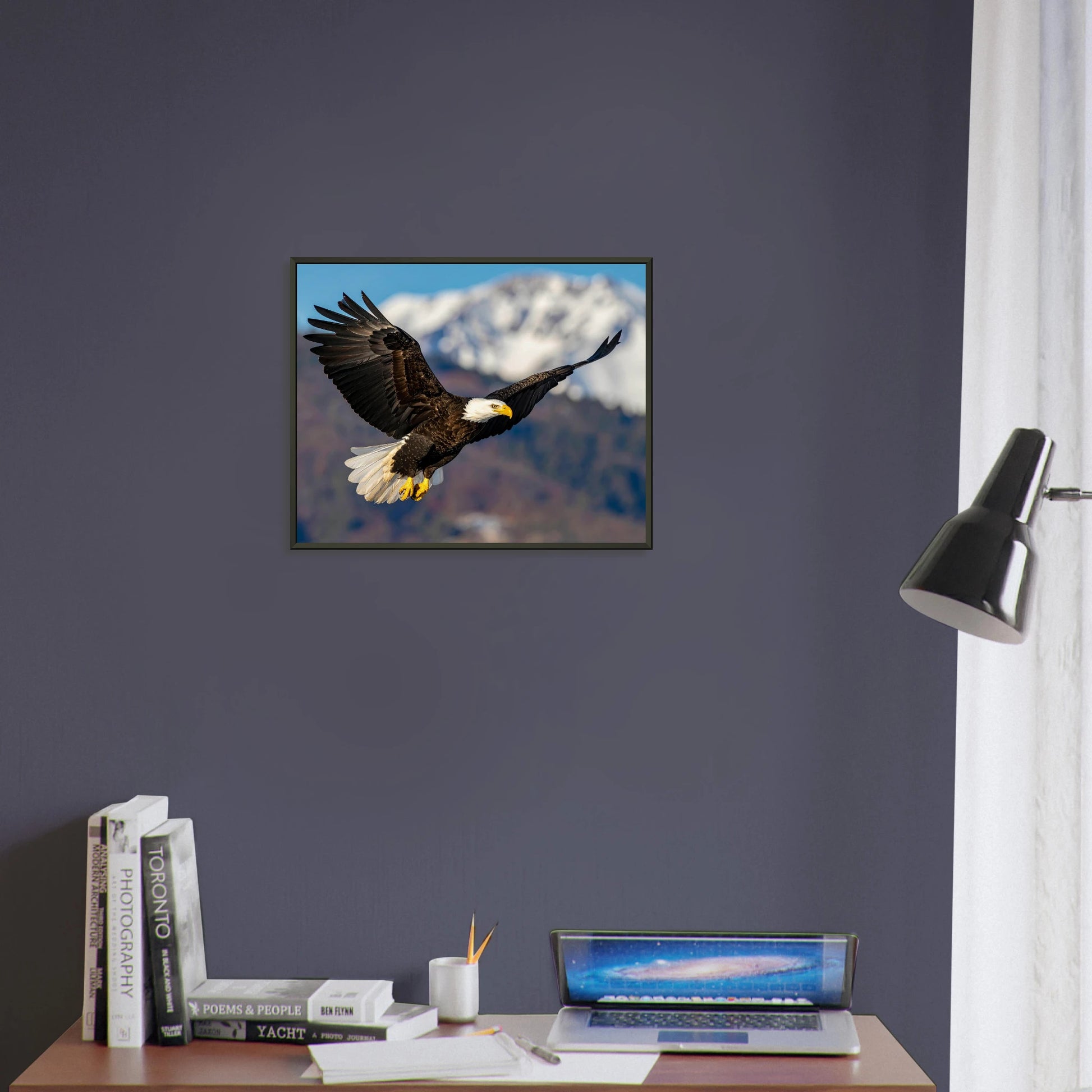 fb43588a-6f89-4a97-b5d9-418c17fb2766