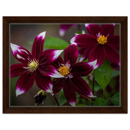 fd5bc570-68d0-43b7-9de8-fd00996c40b4